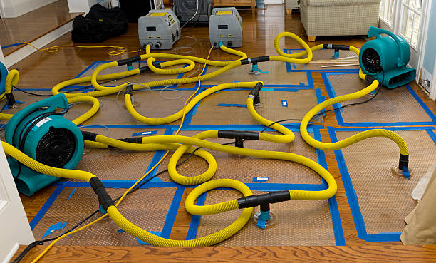 Professional Basement Flood Cleanup technician working in Grayson, CA